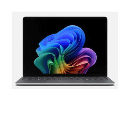 LP5G 13 C5-16-256 PLAT