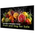 65 MONITOR UHD 24/7 600 NITS