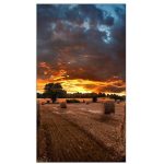 VM55B-U 55 IPS 1920X1080 500 CD/M2