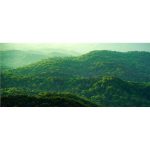 DELL 32 PLUS 4K MONITOR - S3225QS